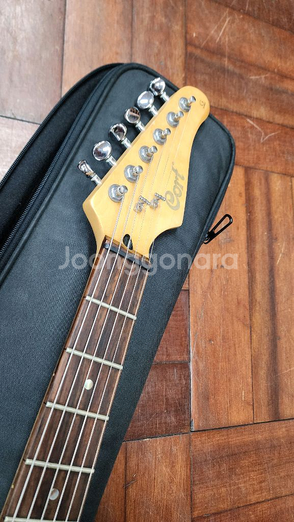 일렉 기타 콜트 G250 CORT--3