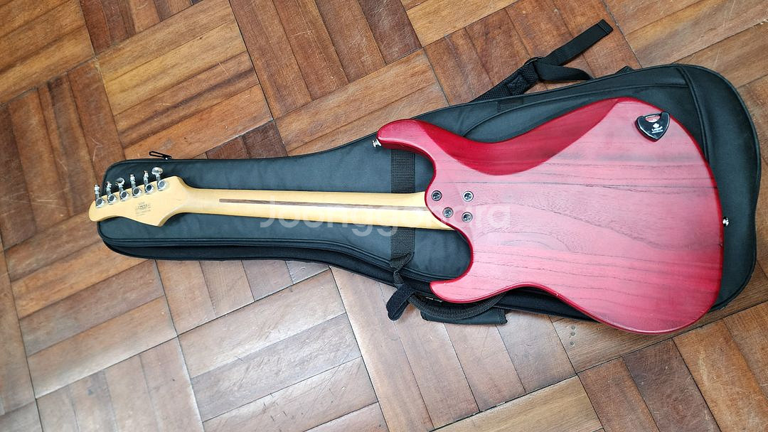 일렉 기타 콜트 G250 CORT--4