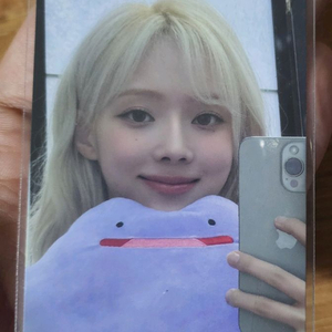 윈터 메타몽포카(수퍼노바 공방 포카)