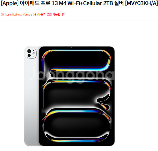 아이패드 프로 13 m4 Wi-Fi--0