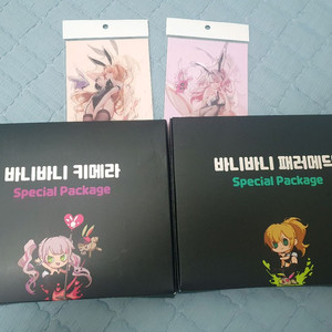 던파) 패러메딕 스페셜 패키지