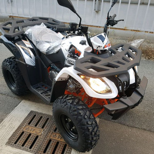 특가중^^ 몇대안남앗습니다 카요 불200 ATV