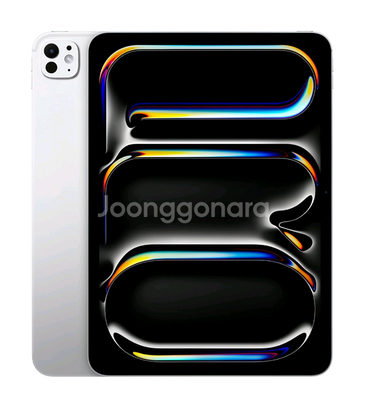 아이패드 프로 11 M4 실버(256GB)--0