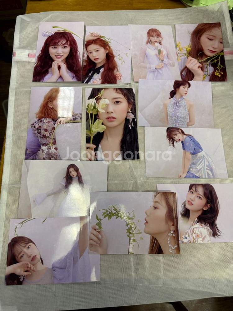 아이즈원 걸그룹,실사진12장/1세트,흠O.후지컬러--0