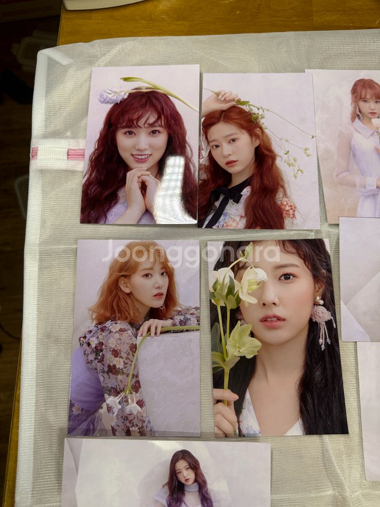 아이즈원 걸그룹,실사진12장/1세트,흠O.후지컬러--1