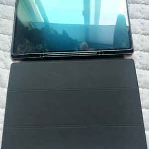 갤럭시탭s8 울트라 256gb