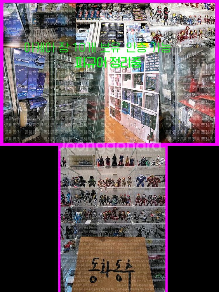 SDX ALGUS SHADOW 아르가스기사단 (더블제타--7