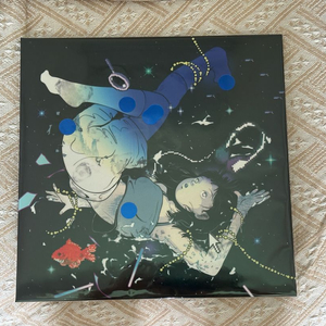 한로로 LP초판 판매합니다.