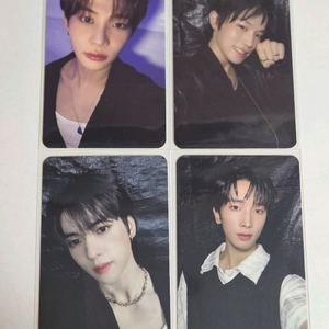 pow 파우 포카