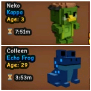 그로우 어 가든 펫 판매합니다 매아리 개구리,카파