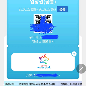 롯데월드 워터파크 입장권