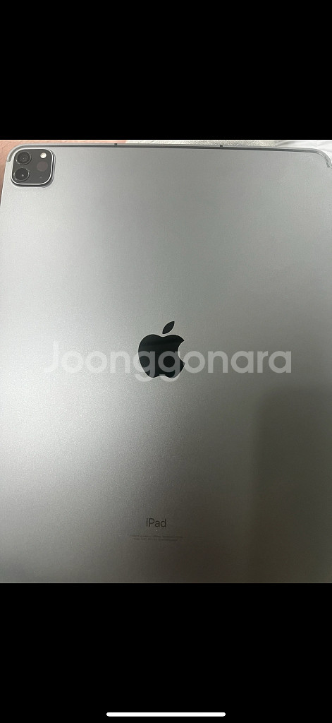 아이패드 프로 5세대 12.9 셀룰러 256GB--0