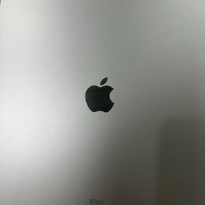 아이패드 프로 5세대 12.9 셀룰러 256GB