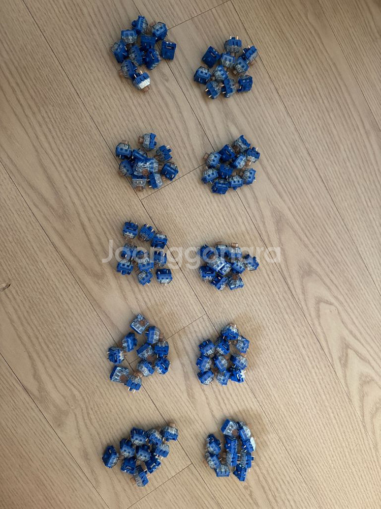카일 저소음 고래 스위치 100ea--0