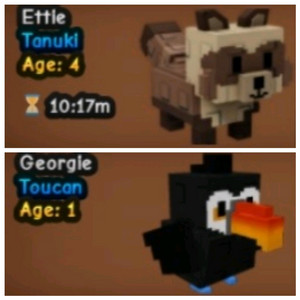 그로우 어 가든 펫 판매 투칸&너구리