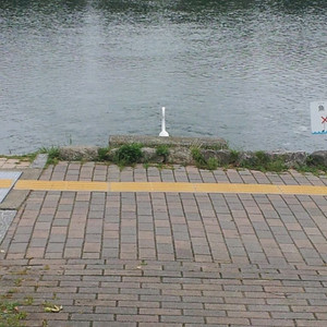 슈퍼주니어 앨범팔아요