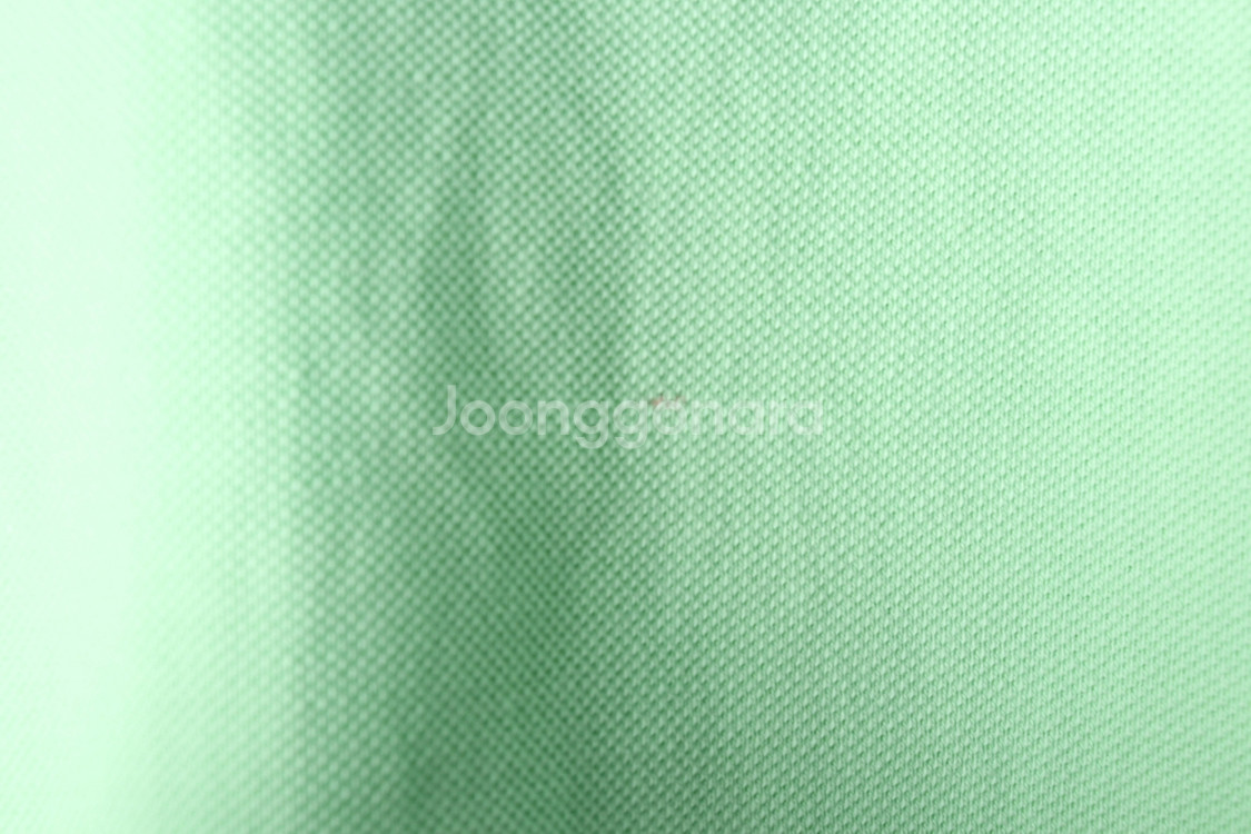 (XL-2XL) 폴로 랄프로렌 반팔 카라 티셔츠 그린--5