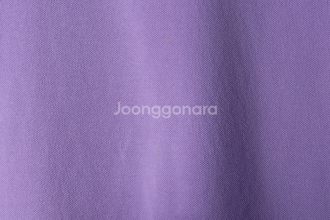 (L-XL) 폴로 랄프로렌 반팔 카라 티셔츠 부분오염--5