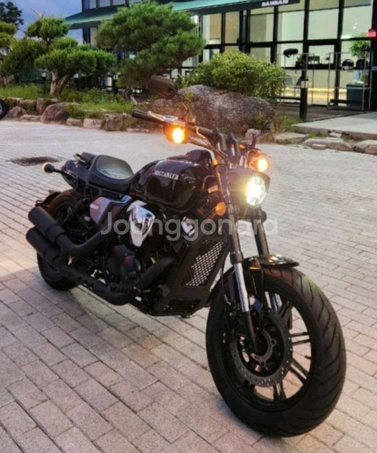 브이밥250--0