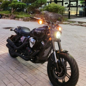 브이밥250