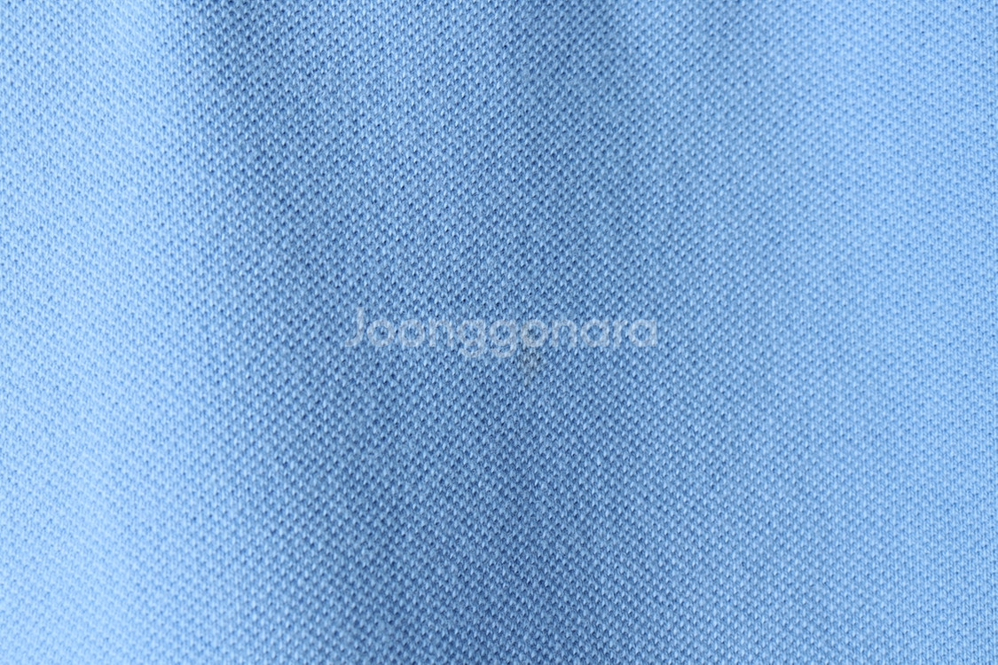 (L-XL) 폴로 랄프로렌 반팔 카라 티셔츠 작은오염--5