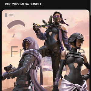배그스킨 pgc2022 메가번들 판매합니다