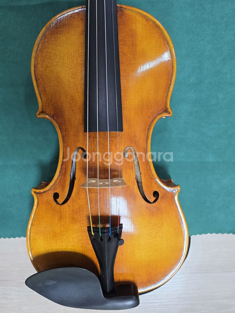 Enrico Martelli Italy violin--7