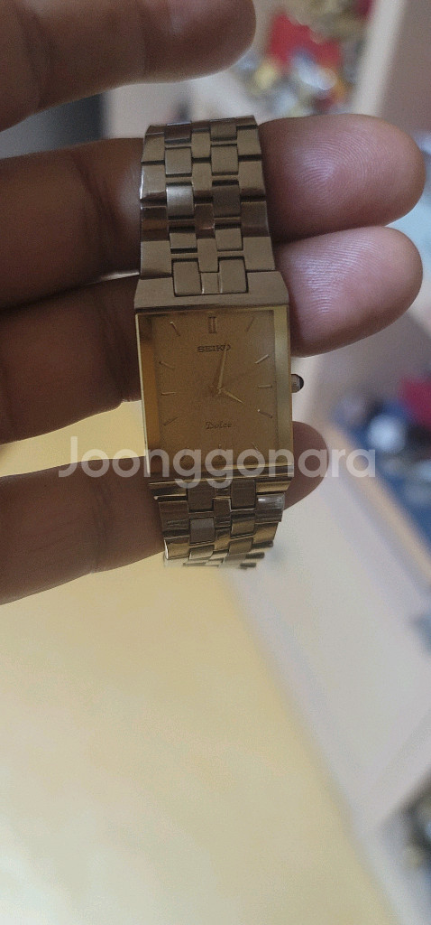 세이코 돌체--1