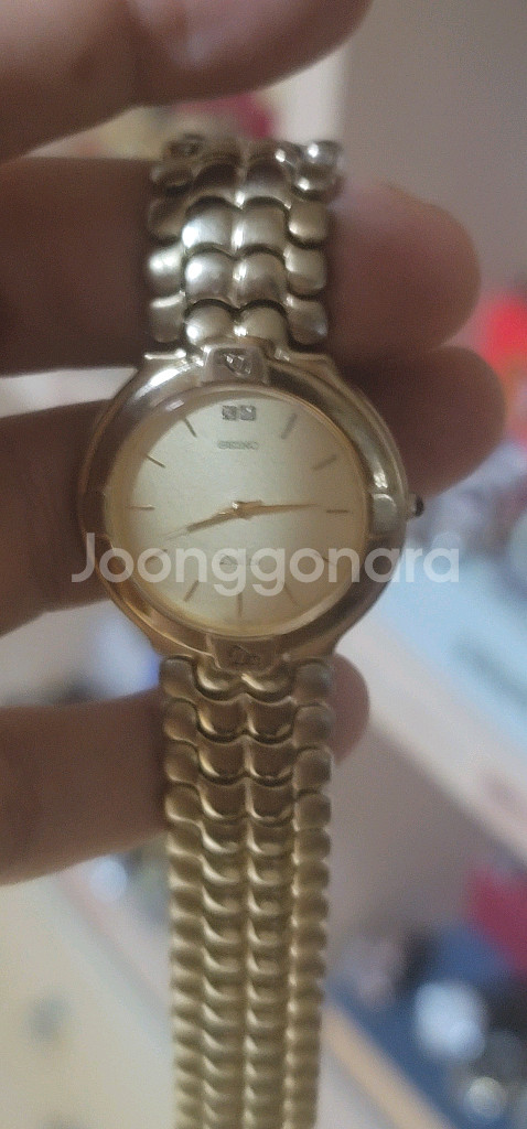 세이코 돌체--8