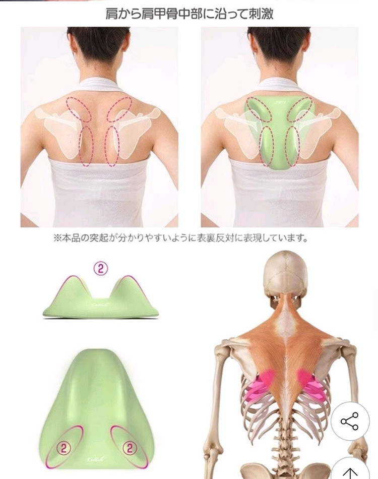 Cellsh 견갑골 마사지 쿠션--3