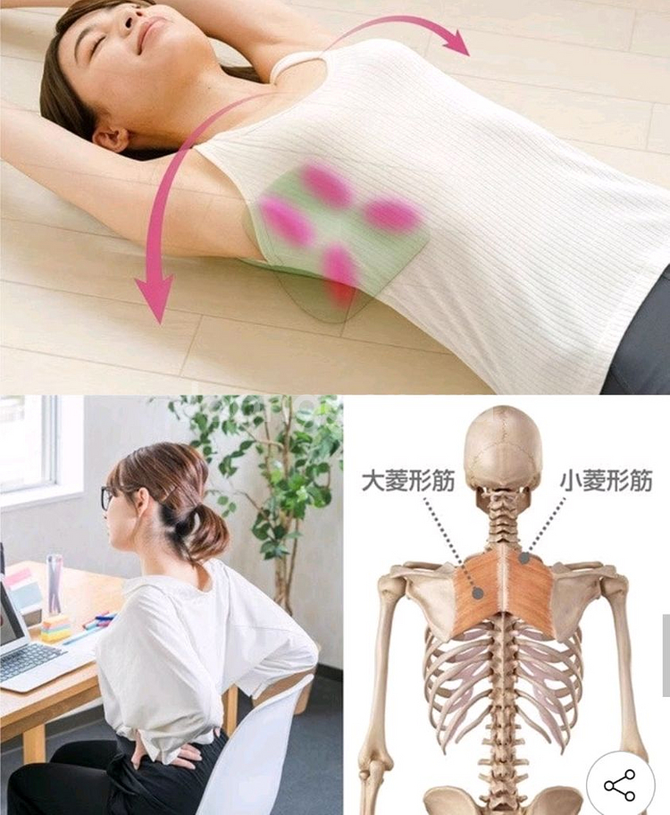 Cellsh 견갑골 마사지 쿠션--4