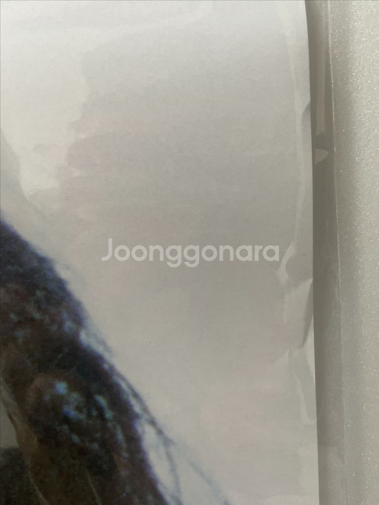 러브레터 일본 극장용 포스터 b2--6