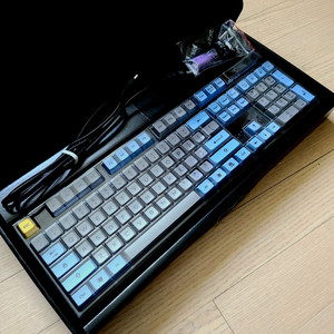 레오폴드 FC900R 청축 + 아컨 SA 염료승화 키캡