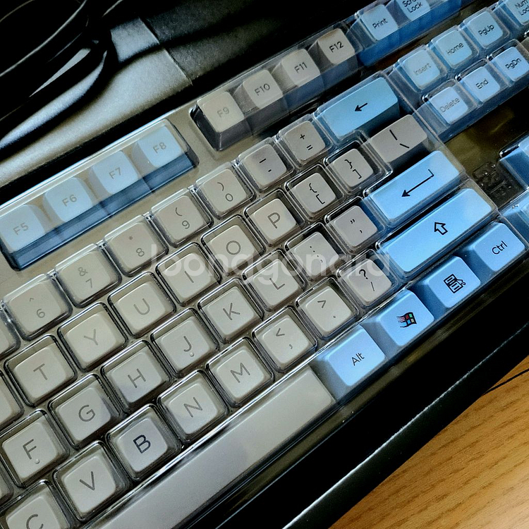 레오폴드 FC900R 청축 + 아컨 SA 염료승화 키캡--2