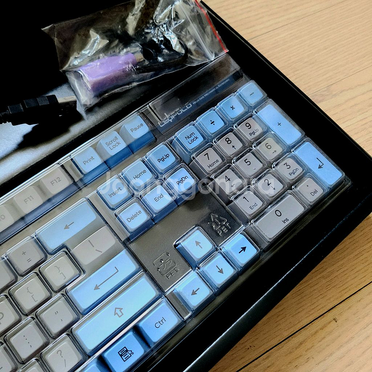 레오폴드 FC900R 청축 + 아컨 SA 염료승화 키캡--3