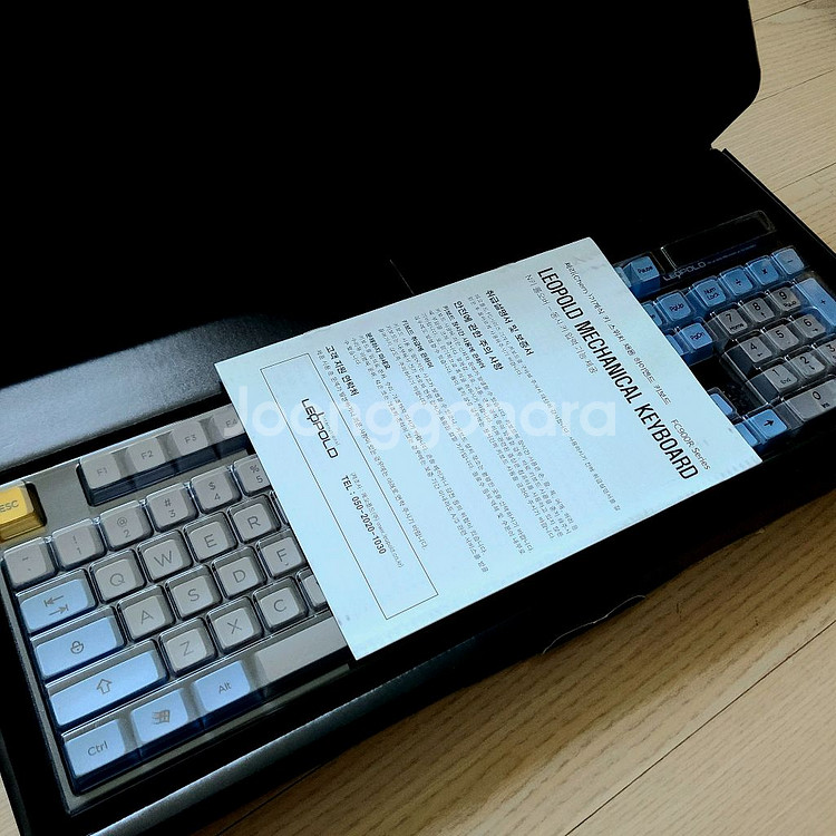 레오폴드 FC900R 청축 + 아컨 SA 염료승화 키캡--4
