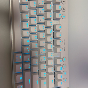 로지텍 PRO X TKL 화이트