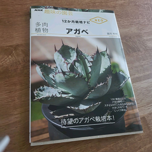 agave book 아가베 책