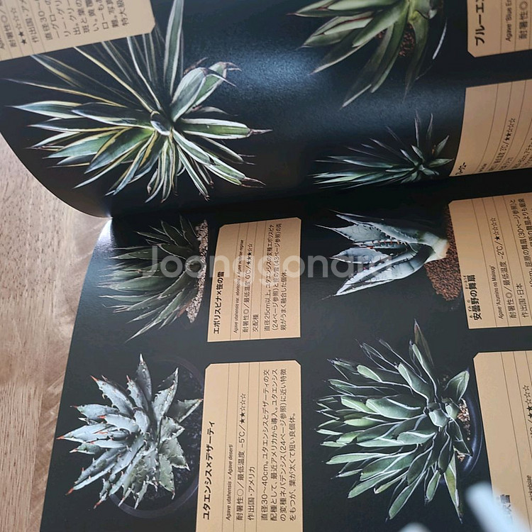 agave book 아가베 책--5