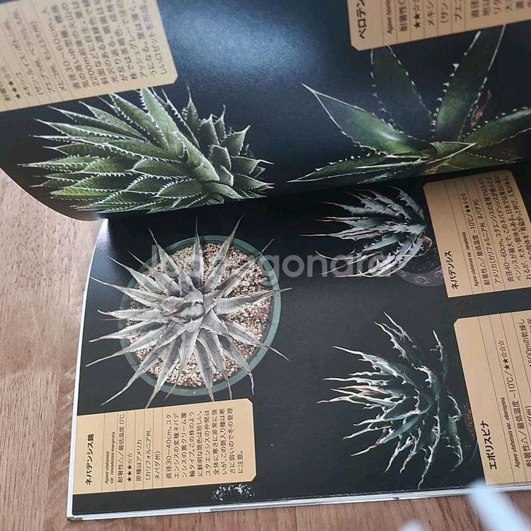agave book 아가베 책--4