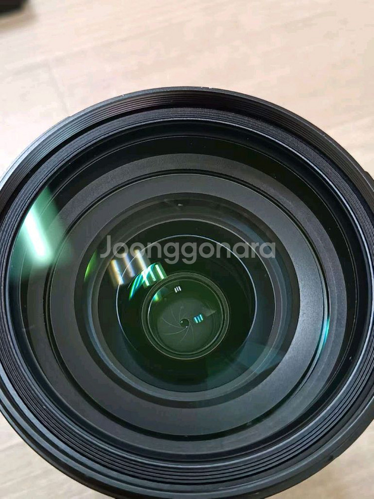 SONY FE24-70GM--5