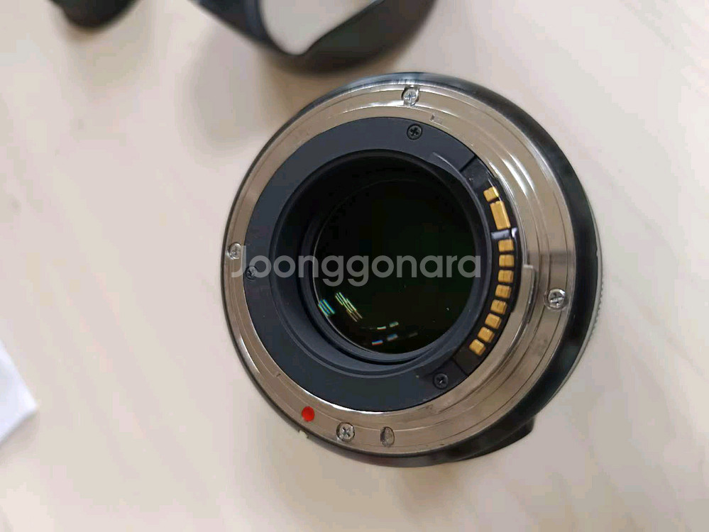 SONY FE24-70GM--7