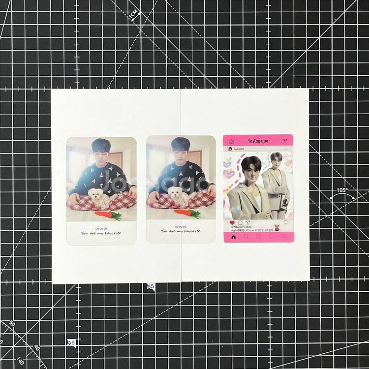 세븐틴 호시 투명 포카 포토카드 비공식 굿즈--0
