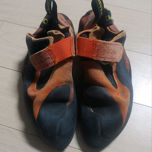 암벽화, 라스포르티바 파이썬