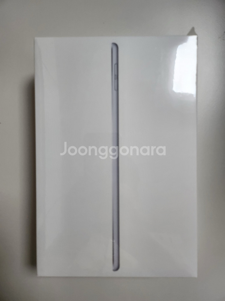 아이패드 미니5 64GB 셀룰러 실버 애플케어플러스--0