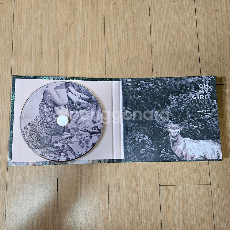 오마이걸 윈디데이 + 구구단 미니 1집 앨범 일괄--1