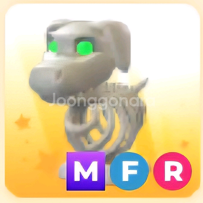 입양하세요 MFR 해골 개 (뼈강)--0
