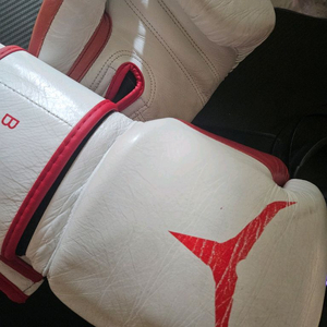 투이스코 16oz 504 글러브