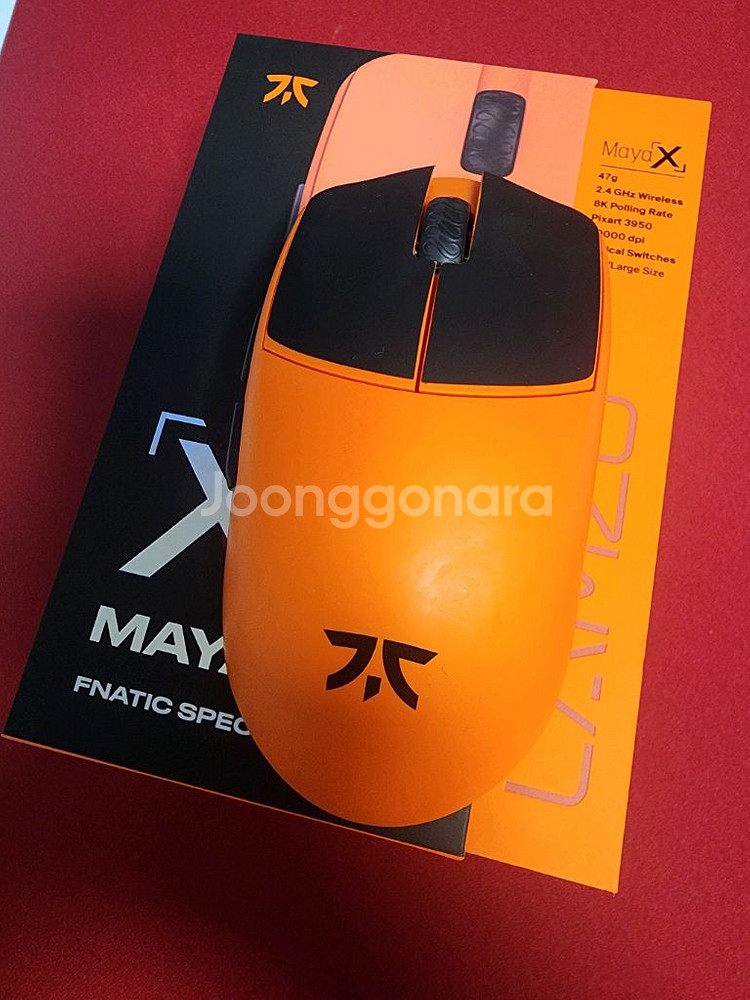 Fnatic Maya X 마야 x 마우스 실폭피트--0
