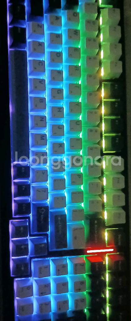 독거미f99경해축 팔아요.--0